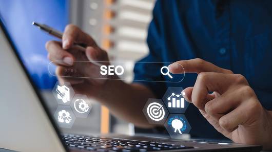 SEO analytics and search interface